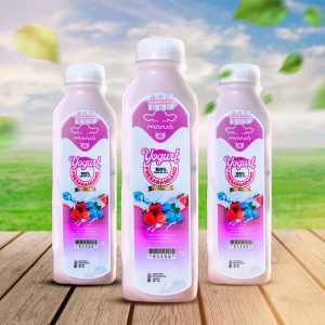 YOGURT NATURAL PREMIUM