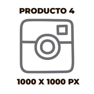 Producto 4
