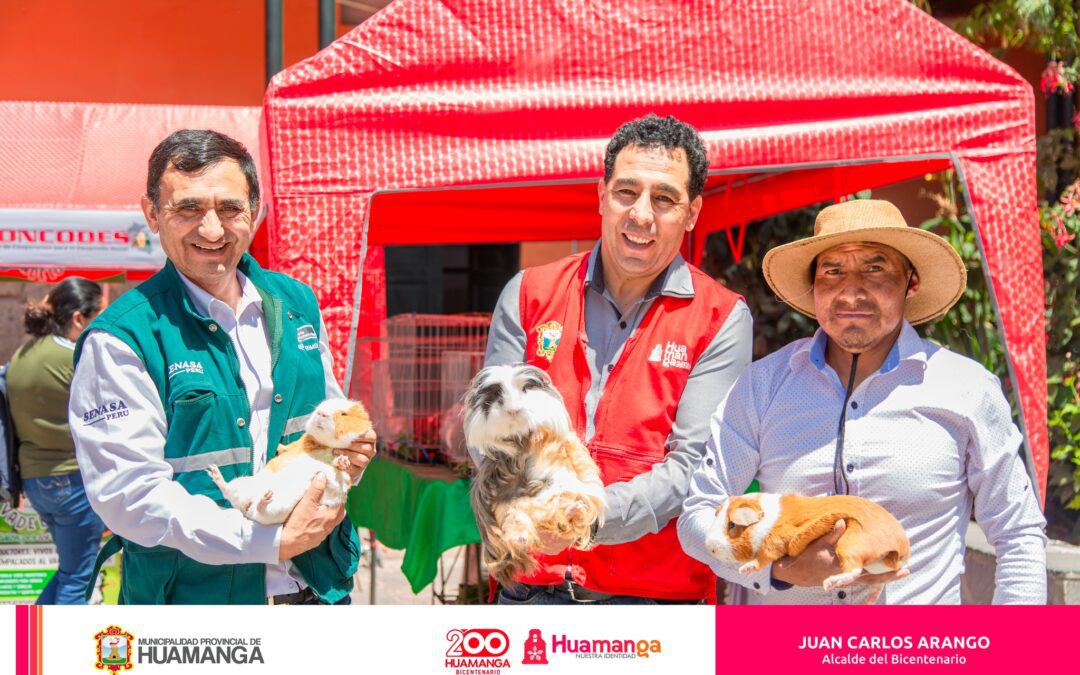 DÍA NACIONAL DEL CUY CON LA PARTICIPACIÓN DE GANADORES DEL PROCOMPITE HUAMANGA 2023