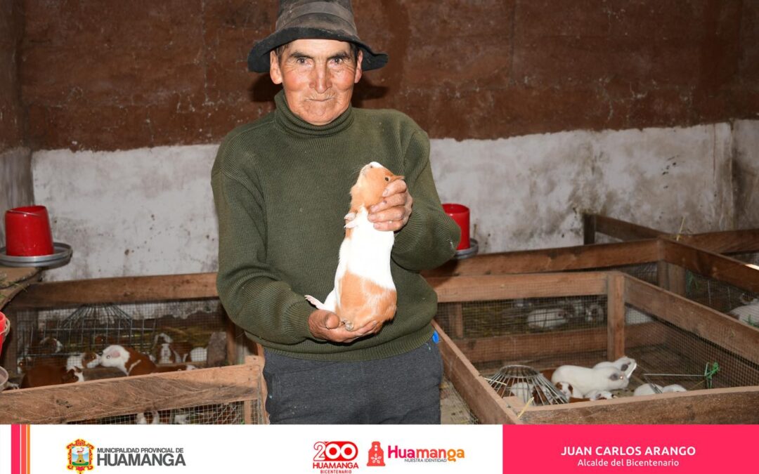 MUNICIPALIDAD  DE HUAMANGA IMPULSA LA SOSTENIBILIDAD EN LA PRODUCCIÓN DE CUYES JUNTO AL INIA